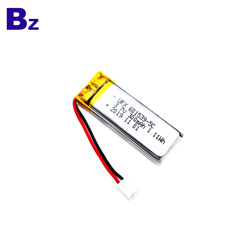 601539-5C_300mAh_2_