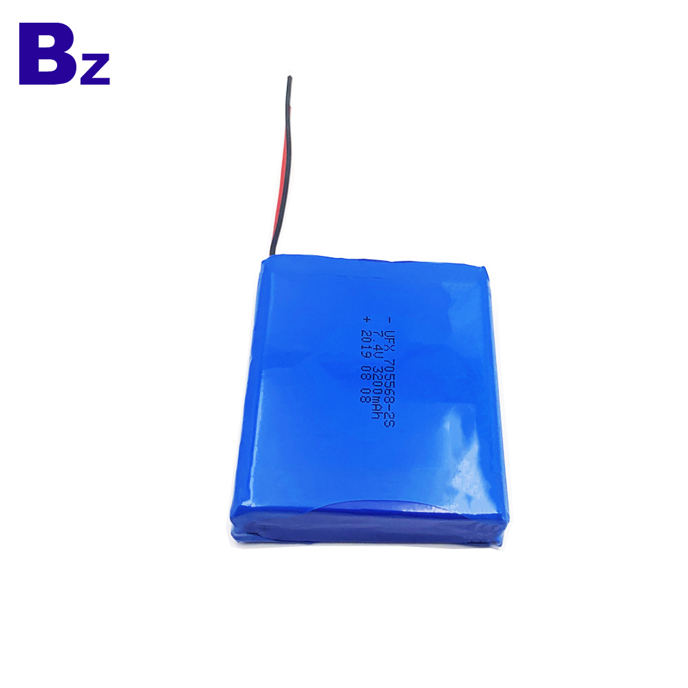 Battery For Companion Robot 